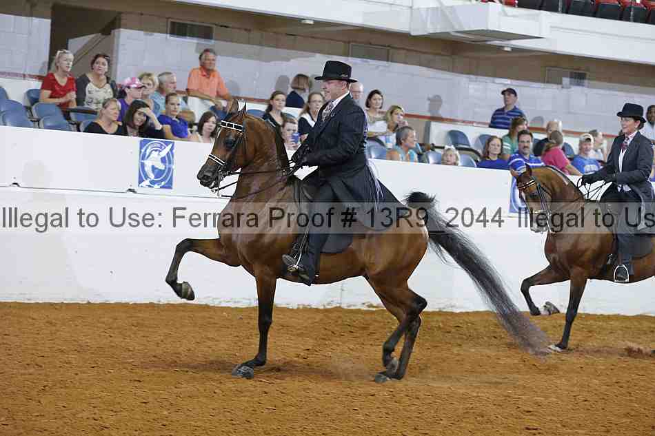 Proof 13r9_2044