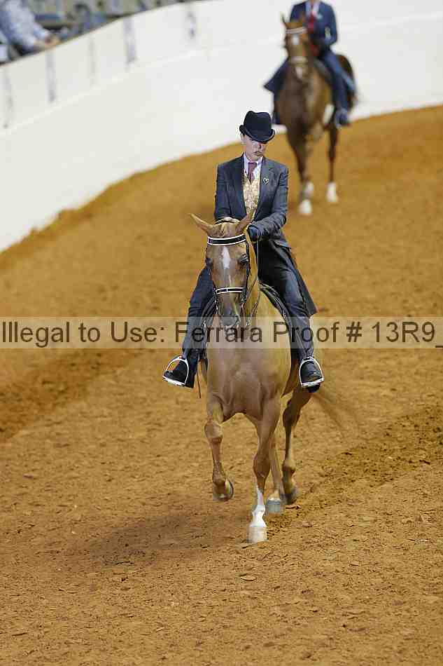Proof 13r9_2046