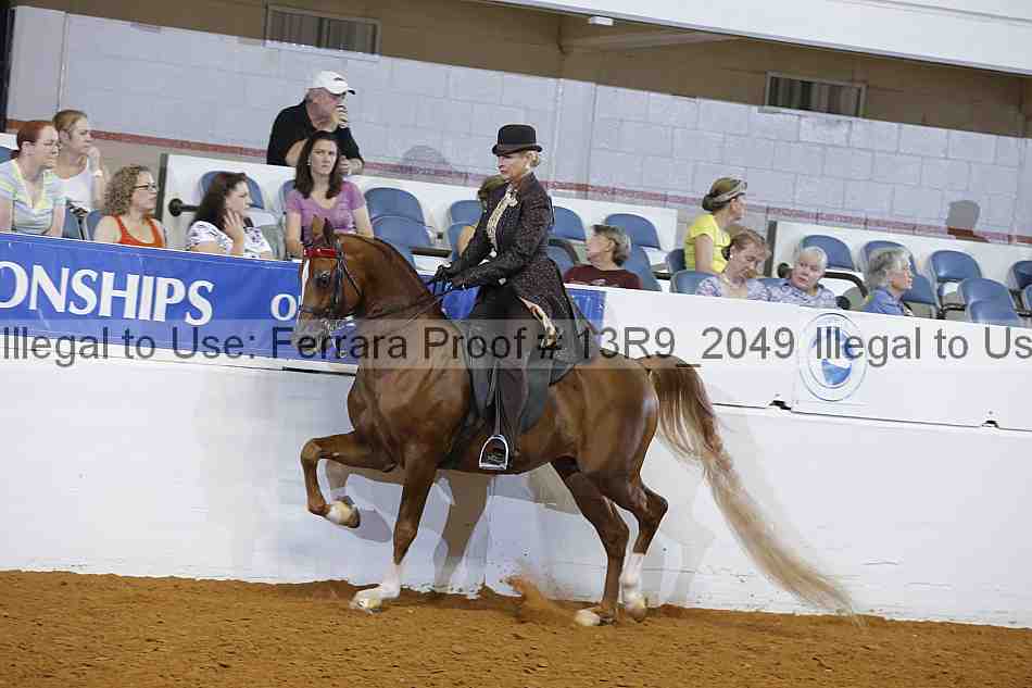 Proof 13r9_2049
