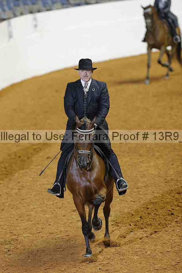 Proof 13r9_2052