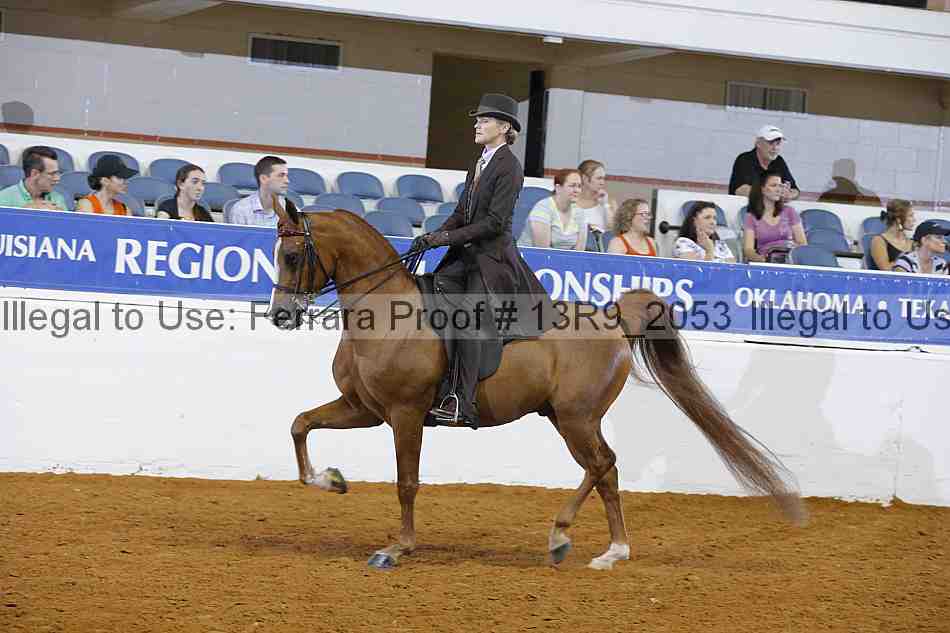 Proof 13r9_2053