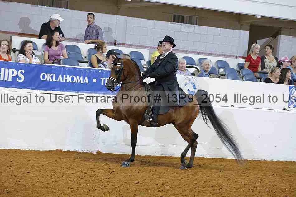 Proof 13r9_2054