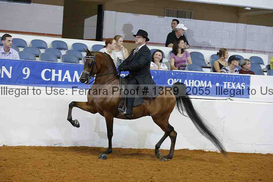 Proof 13r9_2055