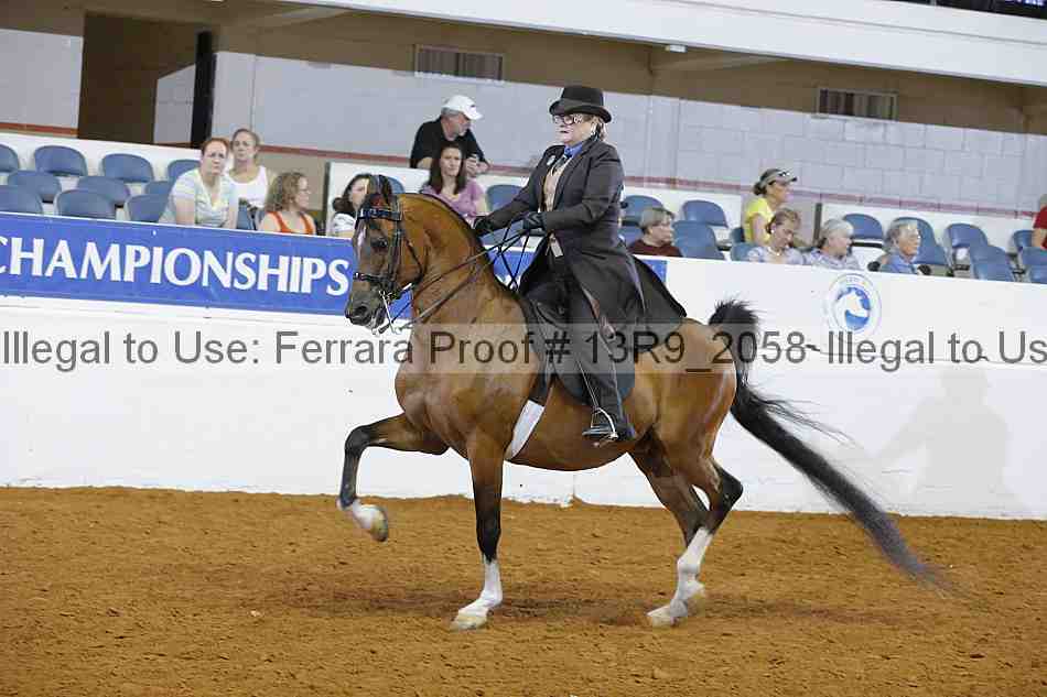 Proof 13r9_2058