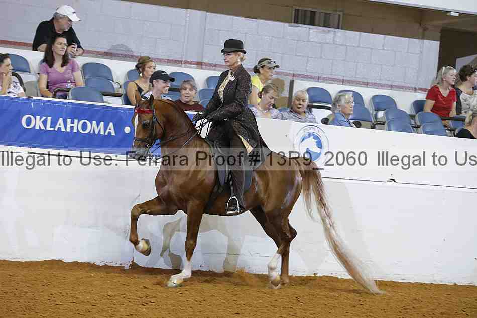 Proof 13r9_2060