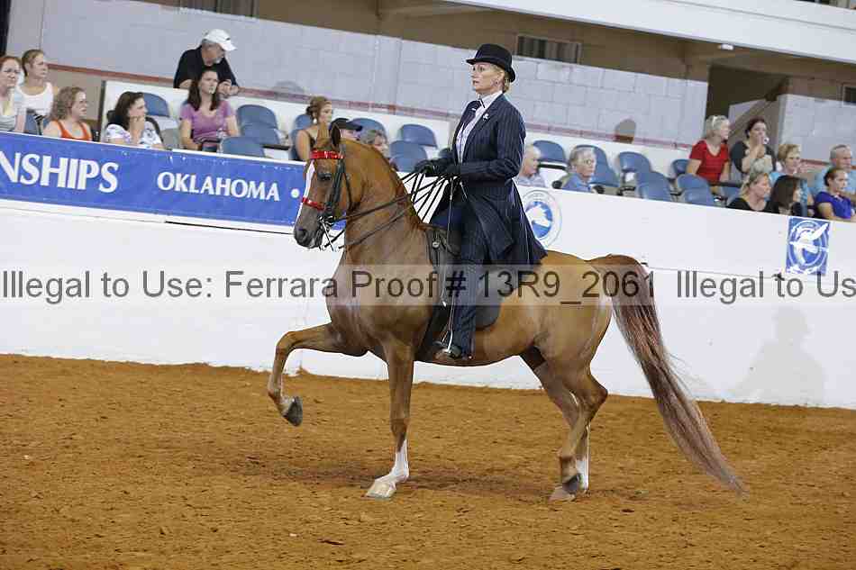 Proof 13r9_2061