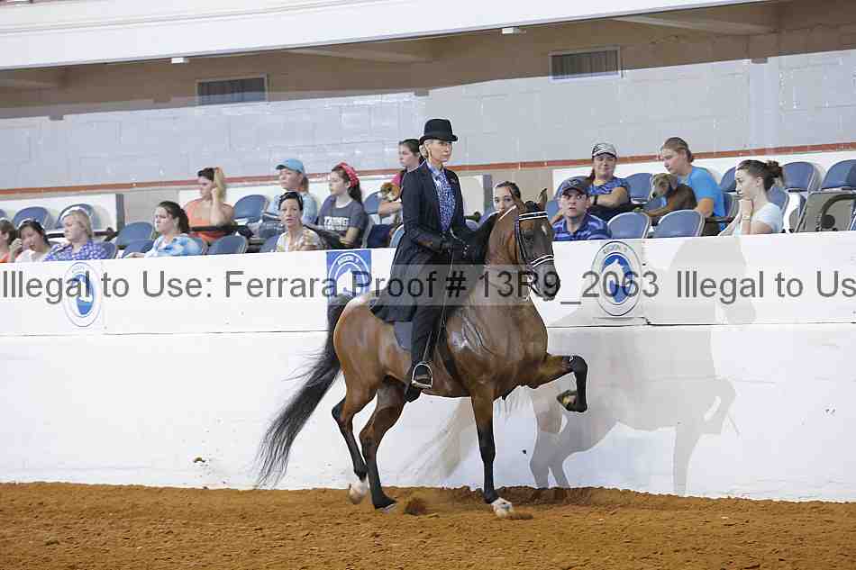 Proof 13r9_2063