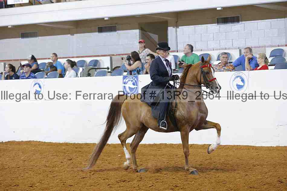 Proof 13r9_2064
