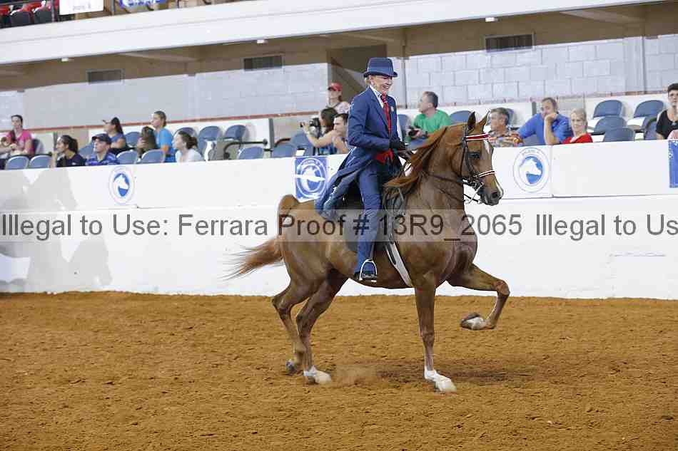 Proof 13r9_2065