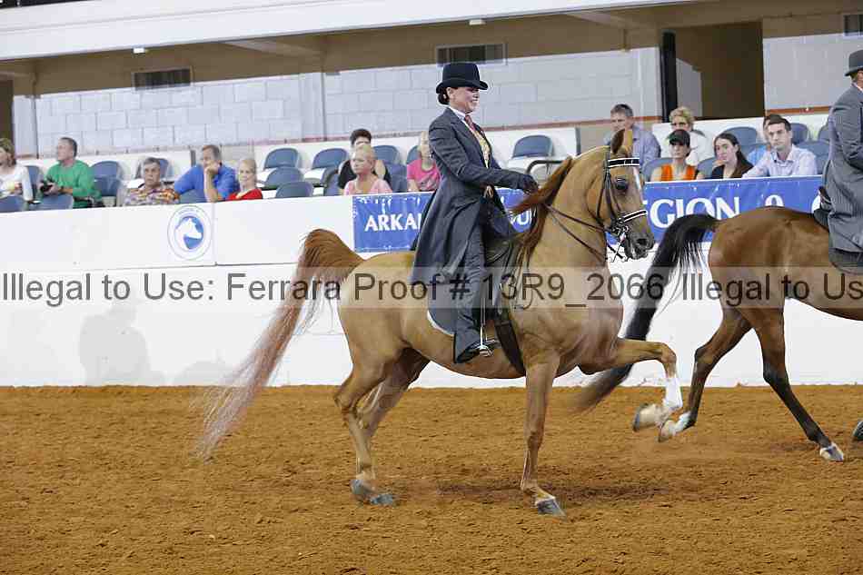 Proof 13r9_2066