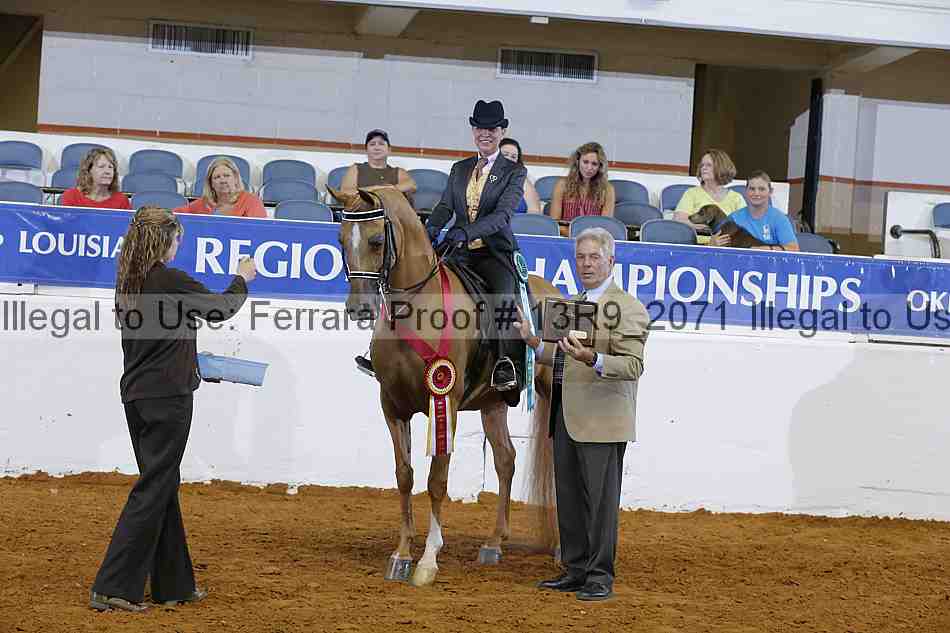 Proof 13r9_2071