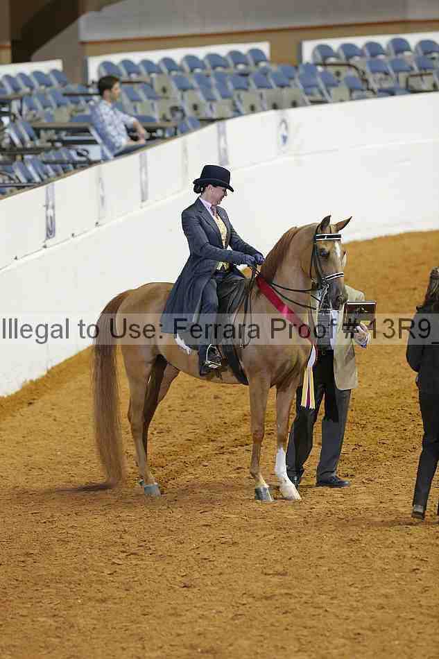 Proof 13r9_2073