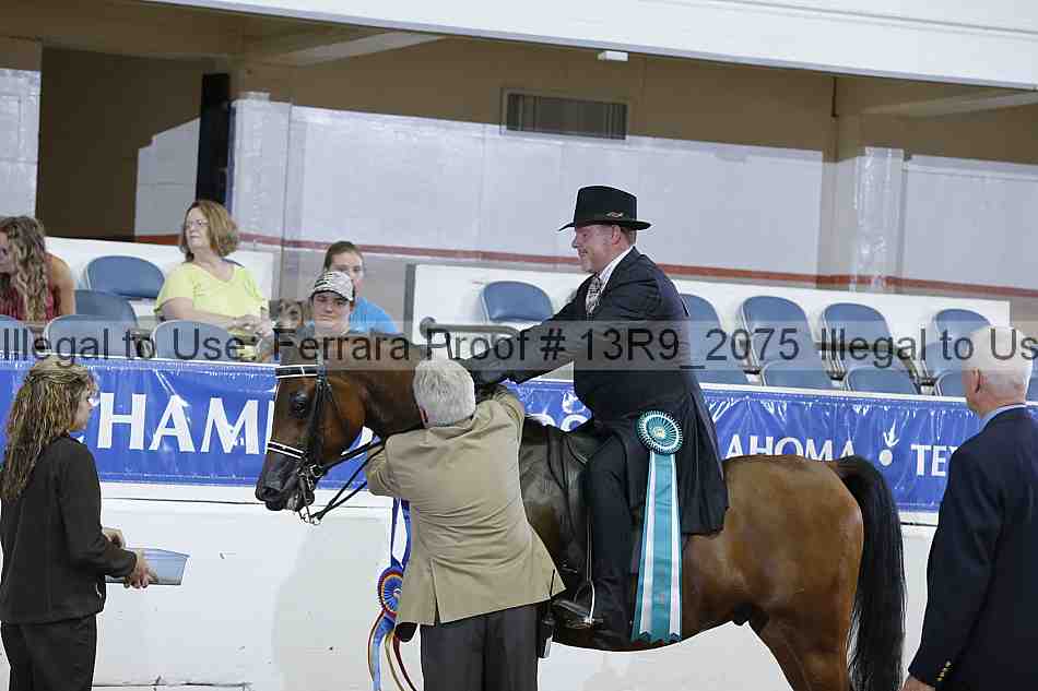 Proof 13r9_2075