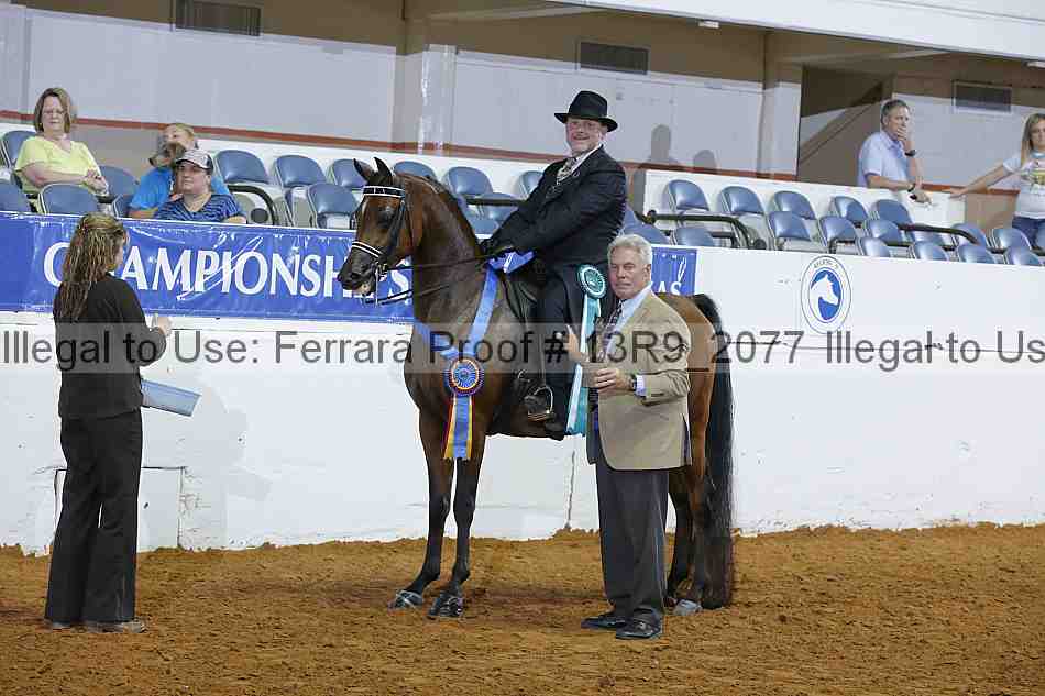 Proof 13r9_2077