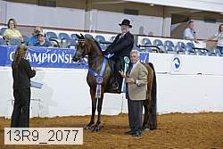 13r9_2077 proof
