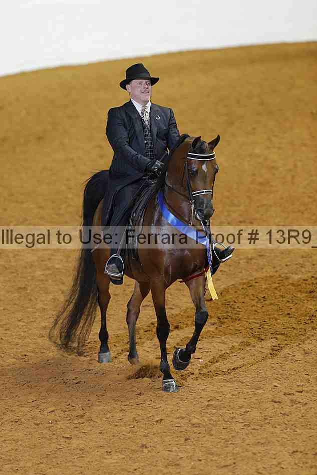 Proof 13r9_2078