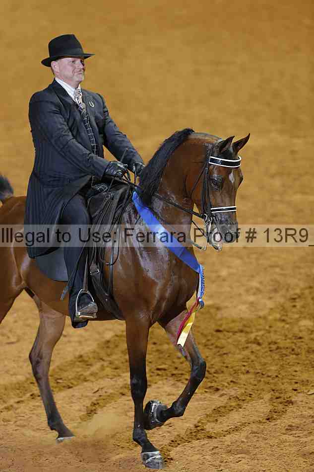 Proof 13r9_2079