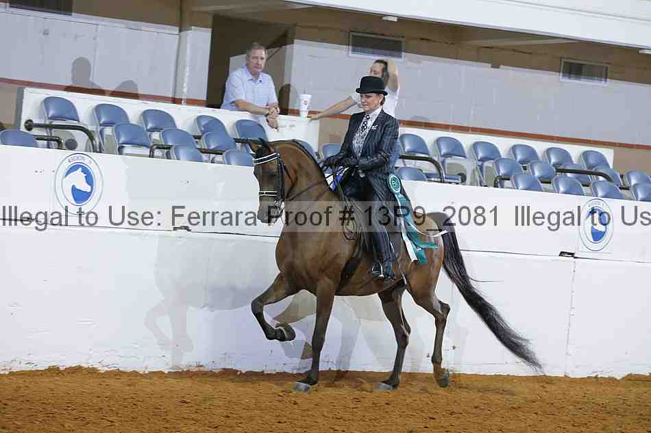 Proof 13r9_2081