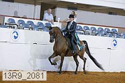13r9_2081 proof