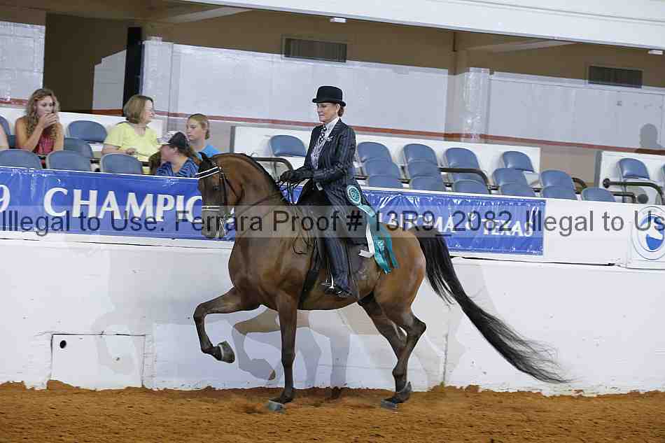 Proof 13r9_2082