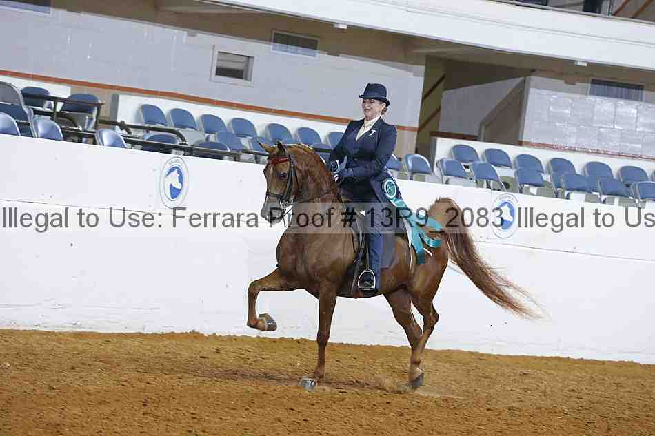 Proof 13r9_2083