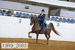 13r9_2083 proof
