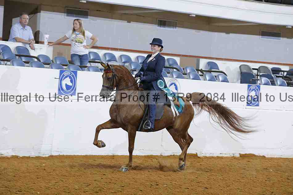 Proof 13r9_2084