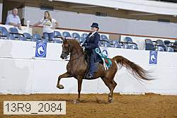 13r9_2084 proof