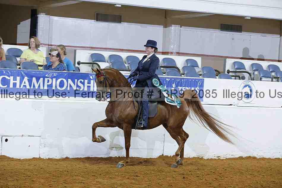 Proof 13r9_2085