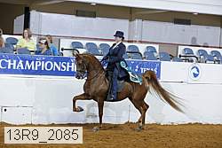 13r9_2085 proof