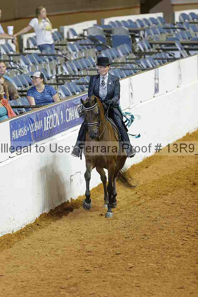 Proof 13r9_2086