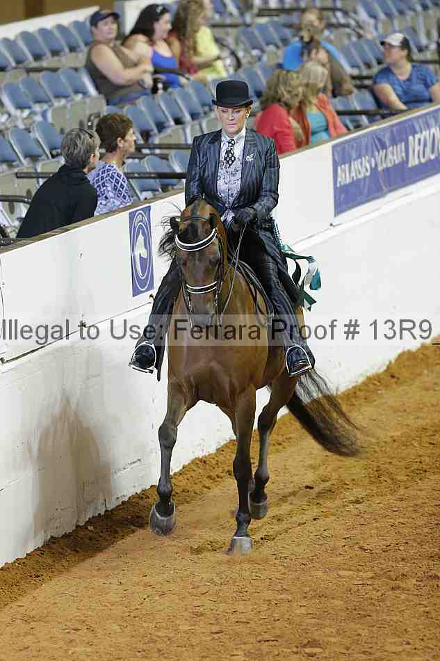 Proof 13r9_2087