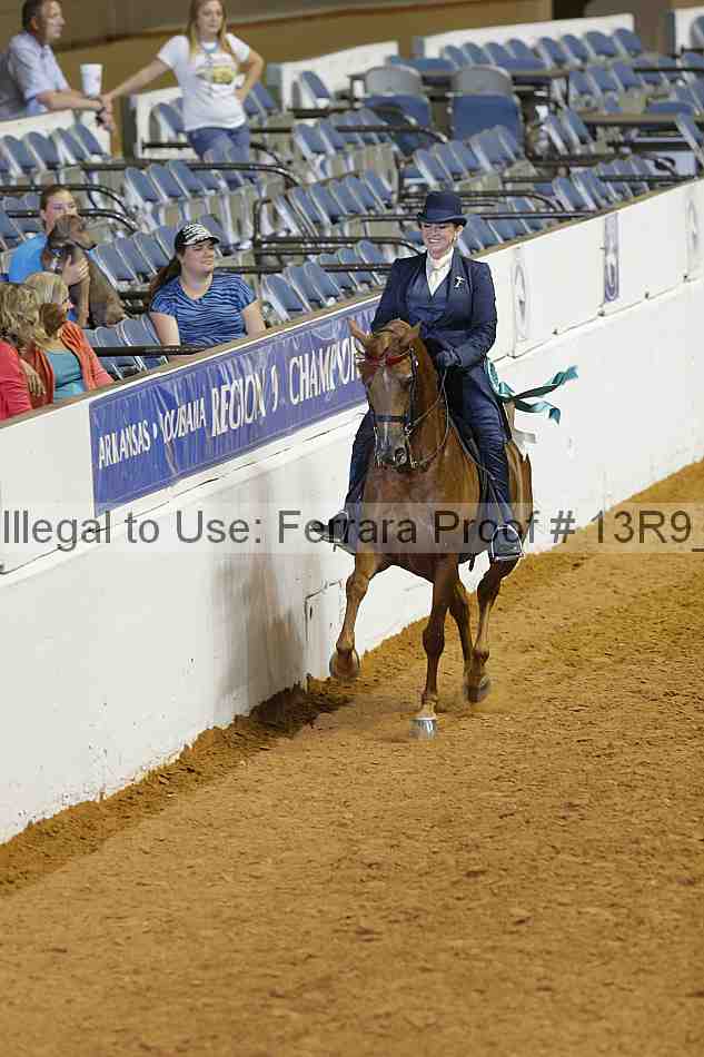 Proof 13r9_2088