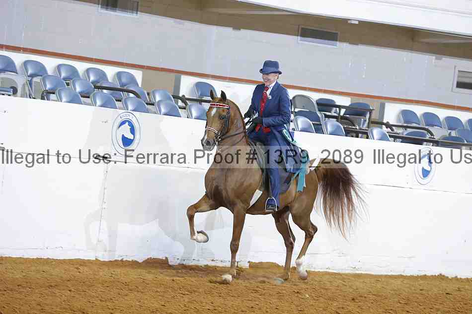 Proof 13r9_2089
