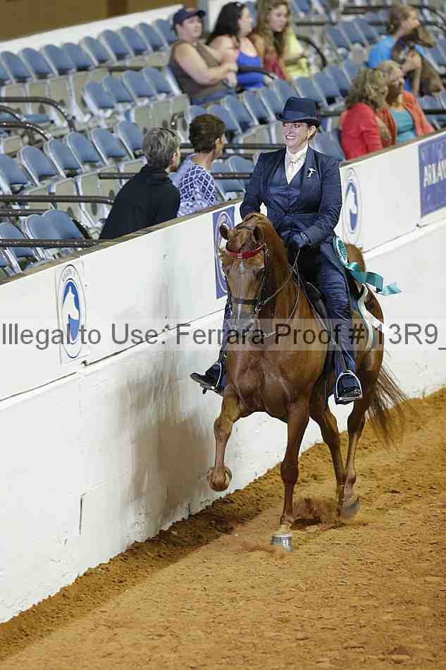 Proof 13r9_2090