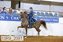 13r9_2091 proof