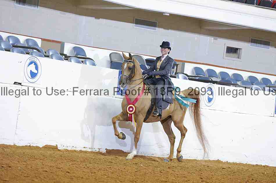 Proof 13r9_2093