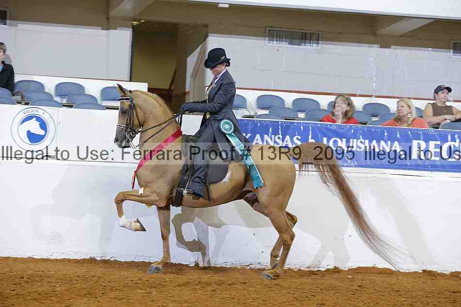 Proof 13r9_2095