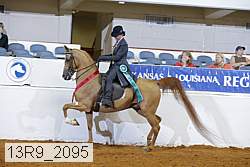 13r9_2095 proof