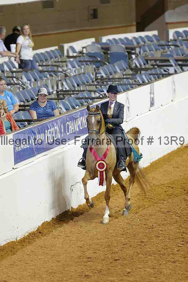 Proof 13r9_2096