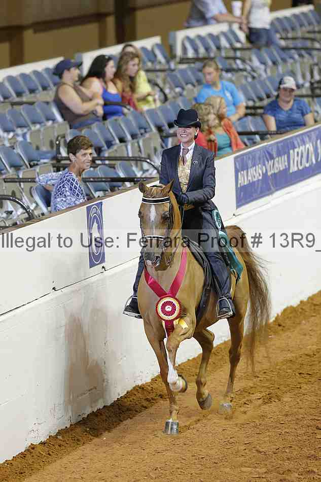 Proof 13r9_2097