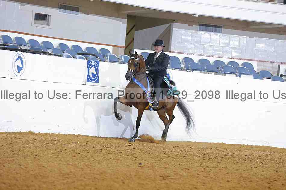 Proof 13r9_2098
