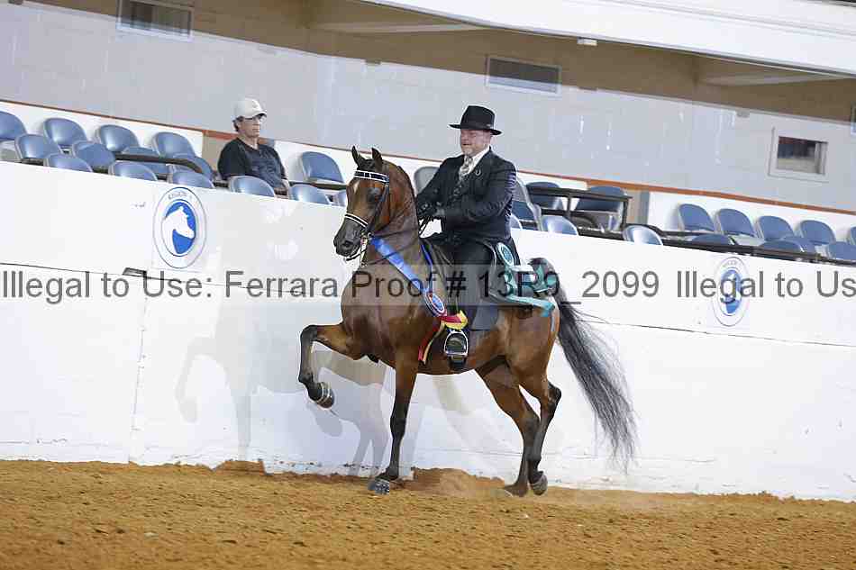 Proof 13r9_2099