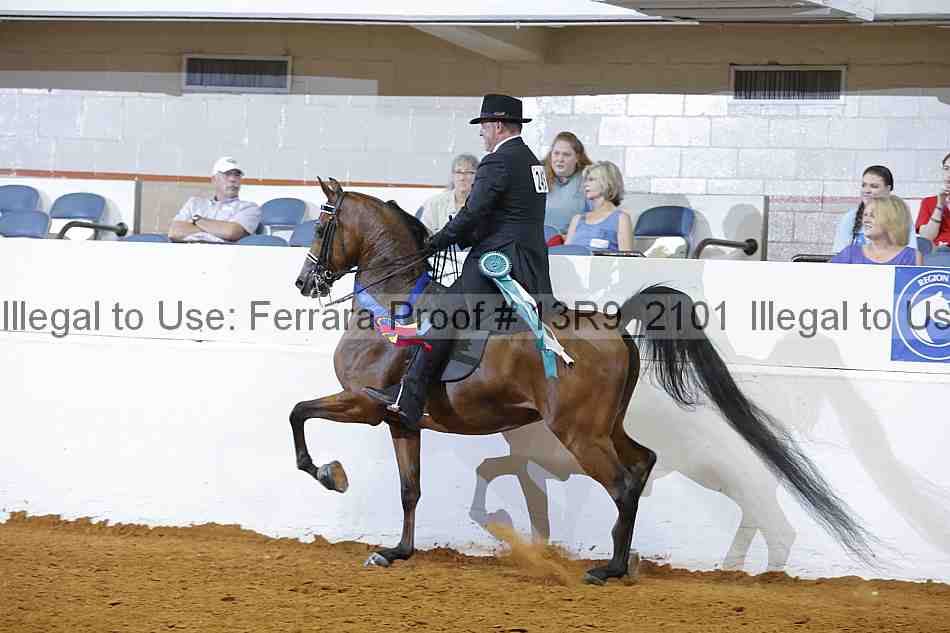 Proof 13r9_2101