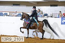 13r9_2101 proof