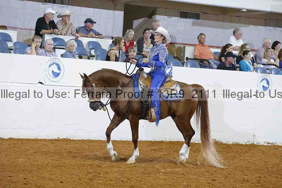 Proof 13r9_2111
