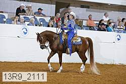 13r9_2111 proof
