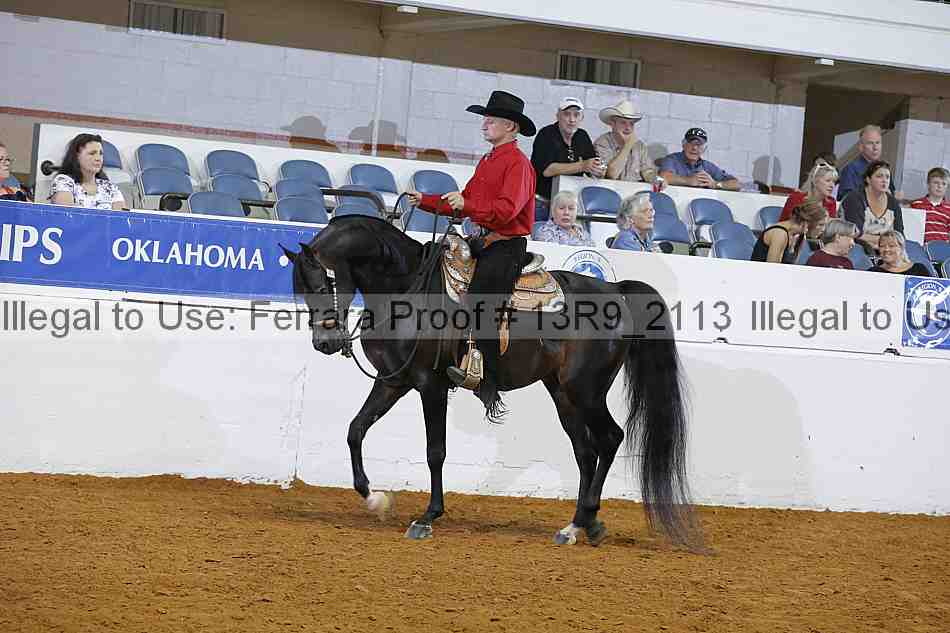 Proof 13r9_2113
