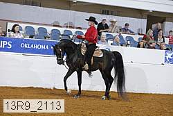 13r9_2113 proof