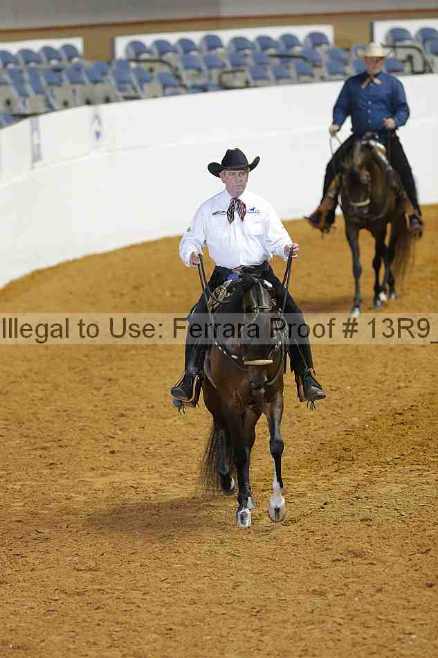 Proof 13r9_2116